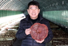[설 선물 특집] 칠곡 영지버섯