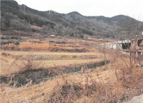 [공매정보] 대구 달성군 유가읍 초곡리 논