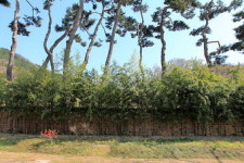 [김찬일의 방방곡곡/길을 걷다] 남평 문씨 인흥 세거지 답사기