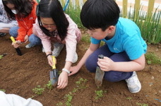 인성·공동체의식 자라는 학교텃밭 “농부들의 손길도 필요”