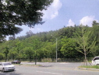 [경매정보] 대구 북구 태전동 임야 1만37㎡
