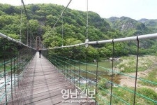 [호국의 성지 상주 .1] 백화산 호국의 길