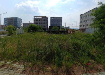 [공매정보] 달성 구지면 내리 843-6 토지