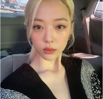 설리 부검 결과, 극단적 선택 흔적 발견돼