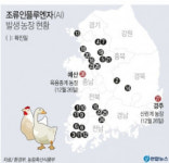 경북 경주 산란계 농장서 H5N8형 고병원성 AI 확진