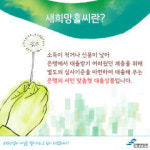 서민 대출상품 ‘새희망홀씨’ 1조4천억 공급…16.5% 증가