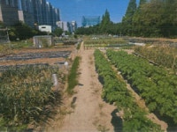 [6월 넷째주 공매정보] 포항 남구 효자동 철도용지/성주군 선남면 도성리 공장