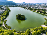 [포토뉴스] 늦여름 폭염에 수성못 녹조 확산