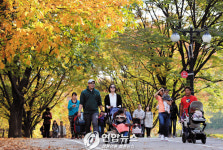 음식점·카페 ‘노키즈존’ 확산
