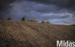 뚝방을 추억하다