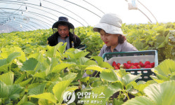 고학력·전문직 귀농이 늘고 있다