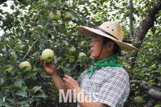 고학력·전문직 귀농이 늘고 있다