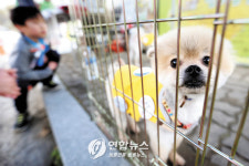 반려동물 진료비는 ‘부르는 게 값’?