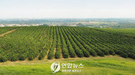 ‘나만의 작은 사치’, 불황에도 통한다!