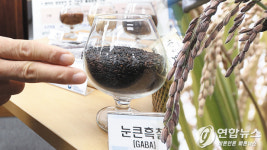 웰빙족 유혹하는 기능성 쌀