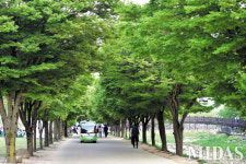 호재 만발 전기차