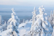 순백의 나라에서 진정한 휴식