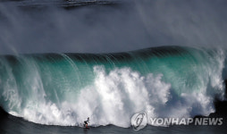 [Photo News] 파리의 명물 크리스마스 트리 외