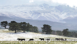 [Photo News] 봄이 오는 길목에서 외