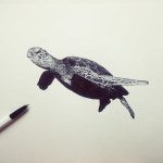 장인은 재료를 탓하지 않는다...‘200원짜리 모나미 펜’ 그림 장인