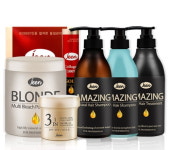 [2017 대한민국베스트브랜드대상] 전문가용 헤어케어 브랜드, 진