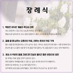 사회 초년생을 위한 ‘기본예절’ 간단 정리