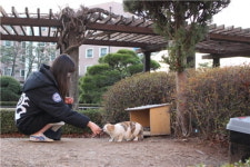 길냥이를 사랑하는 동아리, 한양대 ‘함께하냥’