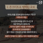 [카드뉴스] 역사를 잊은 민족에게 미래는 없다. 잊으면 안되는 일본 만행 10가지