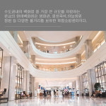 서울 친구야, 경기도에서 만나자! 분당&판교 핫플레이스 5