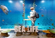 [2019 고객만족브랜드대상] SEA LIFE 부산아쿠아리움, 부산 대표 해양 테마파크