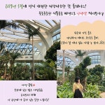 만원 한 장으로 할 수 있는 서울 문화생활 탐방기