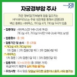 성인 예방접종 주사