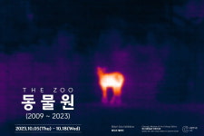 청주시립미술관 오창전시관, 비두리 개인전 ‘동물원(2009~2023)’ 열어