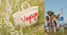 싱그러운 제주도 여름의 매력