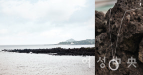 싱그러운 제주도 여름의 매력