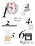 화이트와 브라운으로 가을 여신 되기!