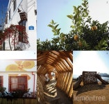 예술 마울로 떠난 art travel