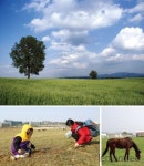 아이 손 잡고 봄나들이 체험