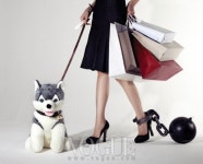 정 여사의 딜레마