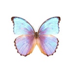 평범한 일상에 특별한 색을 입히다, 그래픽 디자이너 E3