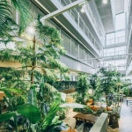 [혼코노미 제3부] 월간 과자와 렌탈 헬스기구