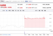 [특징주] 엔에스, 모회사 원익피앤이 흡수합병 결정에 강세