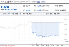 [특징주] 라이온켐텍, 합성왁스 부문 물적분할에 급락