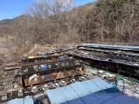 한국 HSI, 아산 개 사육농장 방문 사전 구조작업 진행