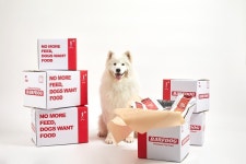 프레쉬아워 서비스 바프독 윤민 창의재단으로부터 시드 투자 유치