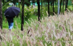 17일까지 가을장마 ...전라해안 등 곳곳에 강하고 많은 비