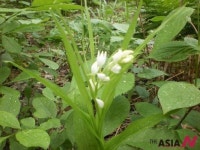 [박상설의 자연 속으로] 봄을 잊은 그대에게