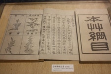 동서고금 인육 이야기···채인(蔡人)·식인·본초강목