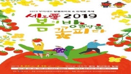 2019 부여세도 방울토마토·유채꽃 축제 26일 개막 세도 금강변 수놓는 방울토마토와 유채꽃