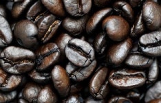 [이동형의 커피심포니⑤] 커피, ‘악마의 음료’가 아닌 이유 ‘불협화음’서 찾다